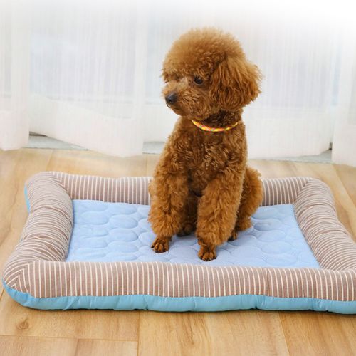 tapis-rafraichissant-chien-confortable-bleu