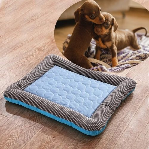 tapis-rafraichissant-chien-design