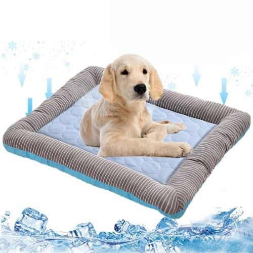 tapis-rafraichissant-chien-ete