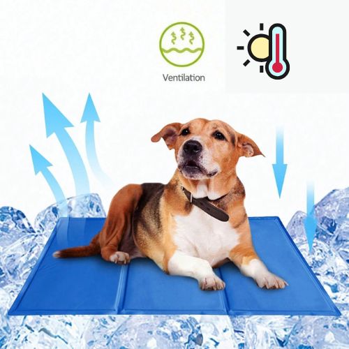 Tapis rafraichissant chien | Durable