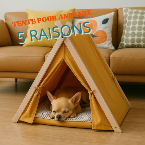 Tente pour animaux : 5 raisons d'offrir un refuge à votre chien