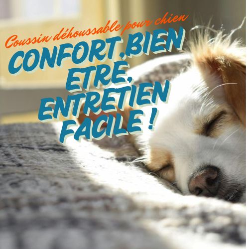 Coussin déhoussable pour chien | Confort, bien-être et entretien facile