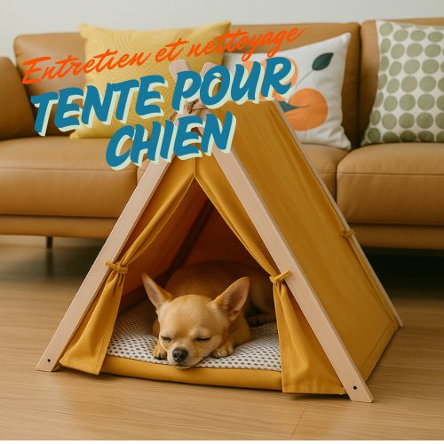 Tente pour chien : entretien et nettoyage pour une durée de vie maximale