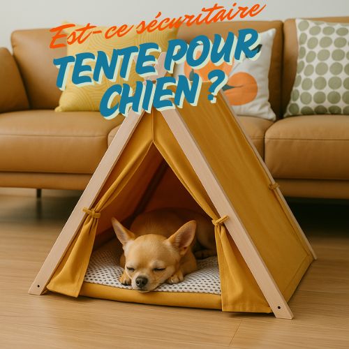 Est il sécuritaire pour un chien de dormir dans une tente?