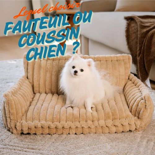 Fauteuil chien ou  coussin : lequel est le plus confortable ?