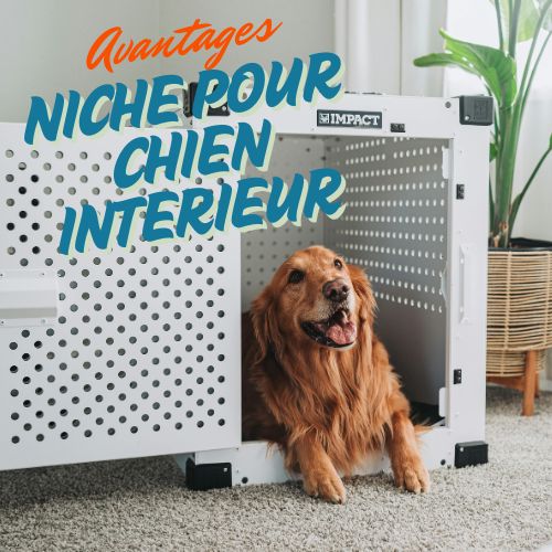 Les avantages d'une niche pour chien intérieur
