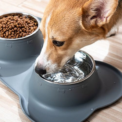 gamelle-chien-pratique
