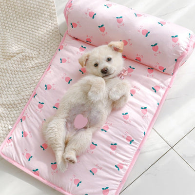 Tapis pour chien