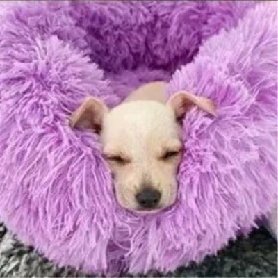 coussin-chien-agréable
