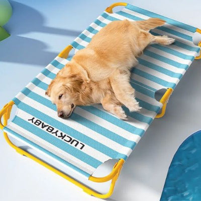 Lit pour chien