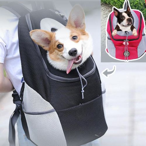 Chien-confortablement-installé-dans-sac-à-dos-de-voyage-ToutouTrek