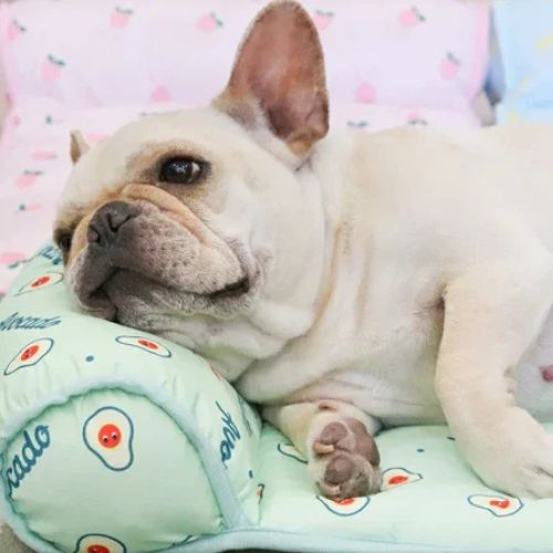 Chien tapis rafraichissant | Respirant