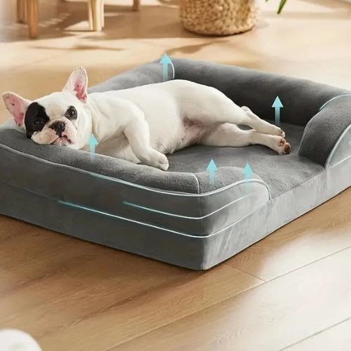 Lit-canapé-pour-chien-confortable