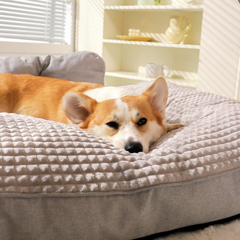 Lit-orthopédique-soulageant-pour-chien-soutien-articulaire-optimal