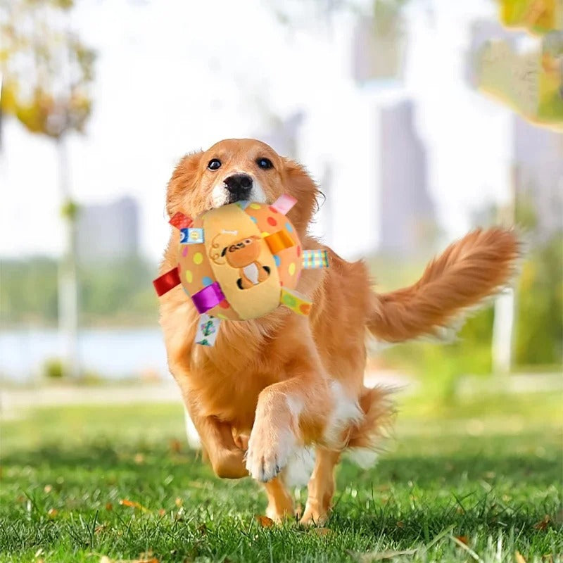 Balle pour Chien | BouleFun™