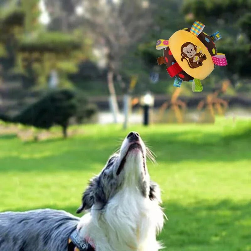 Balle pour Chien | BouleFun™