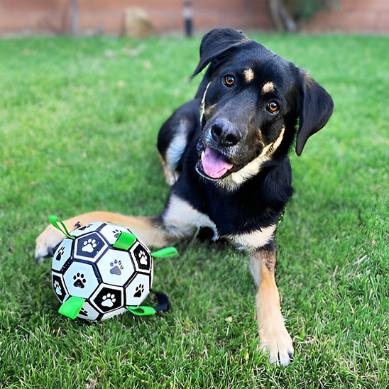 ballon-pour-chien-renforcé