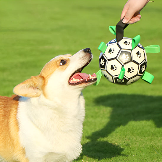 ballon-pour-chien-solide