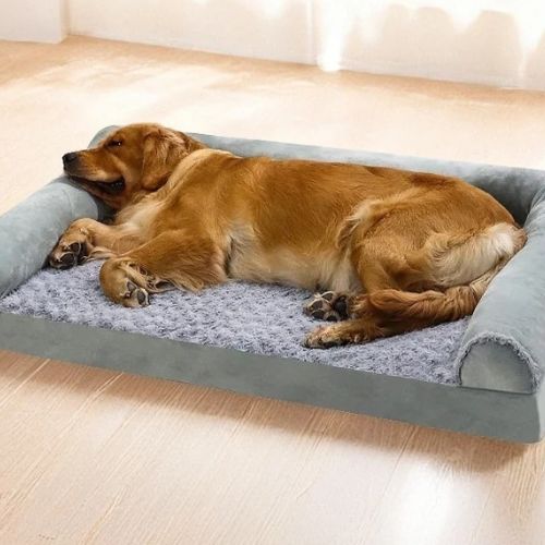 canape-chien-doux-gris