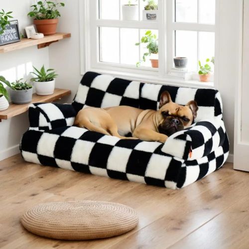 canape-chien-vintage-noir-blanc