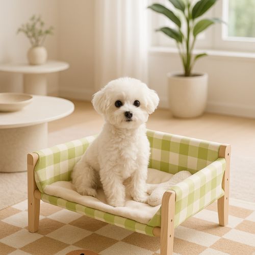 canape-pour-chien-design-vert-citron-en-bois