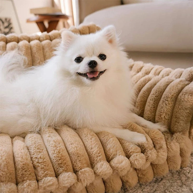 canapé-pour-chien-harmonieux-brun