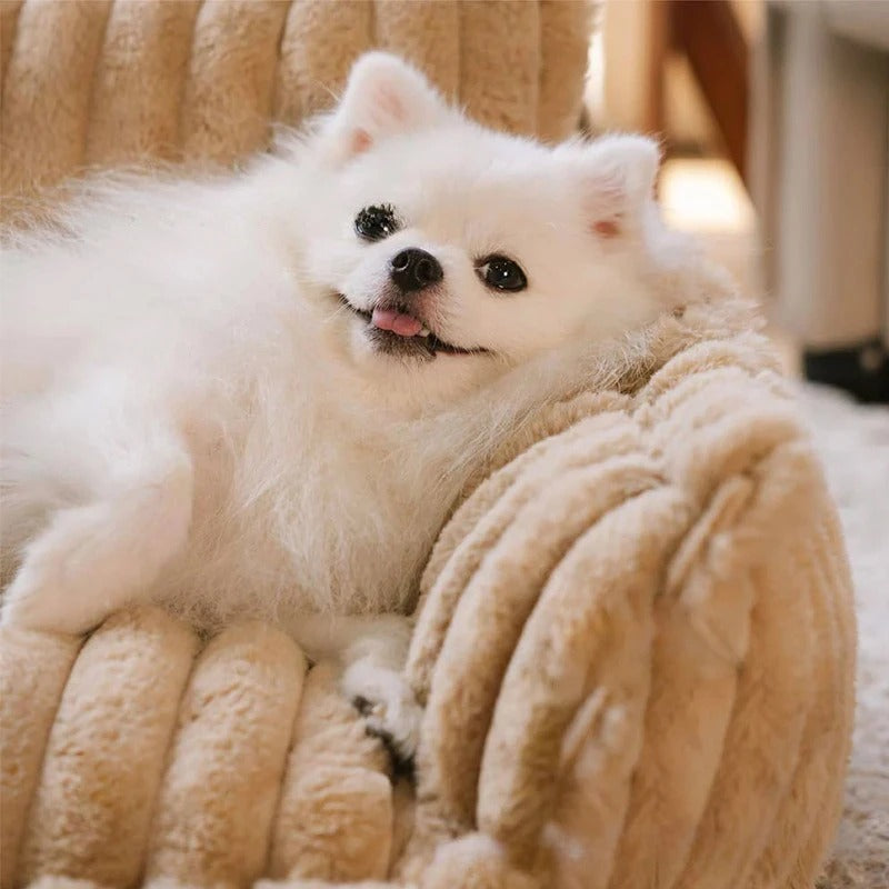 canapé-pour-chien-moelleux-brun