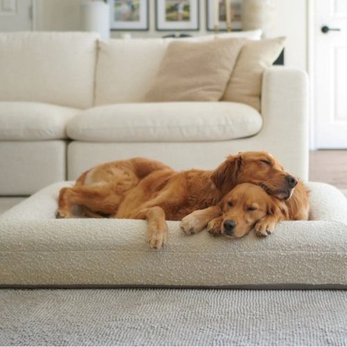 canape-pour-chien-premium-adorable