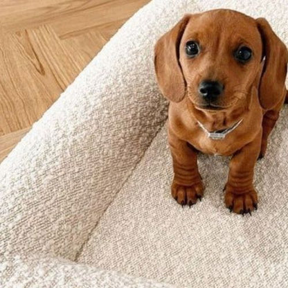 canape-pour-chien-premium-blanc