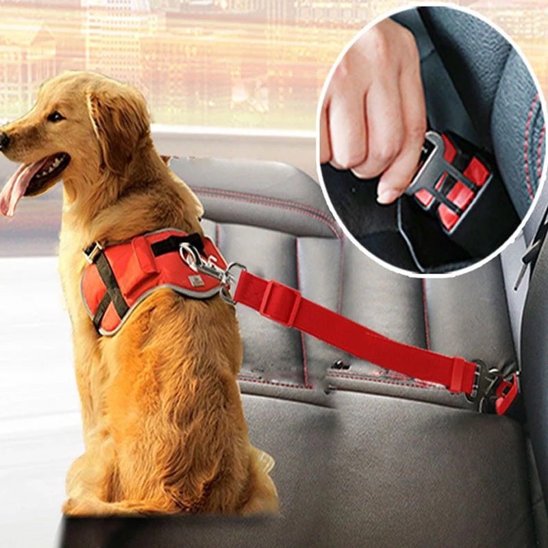 Ceinture de sécurité pour chien | BeltPet™ - MHM boutique