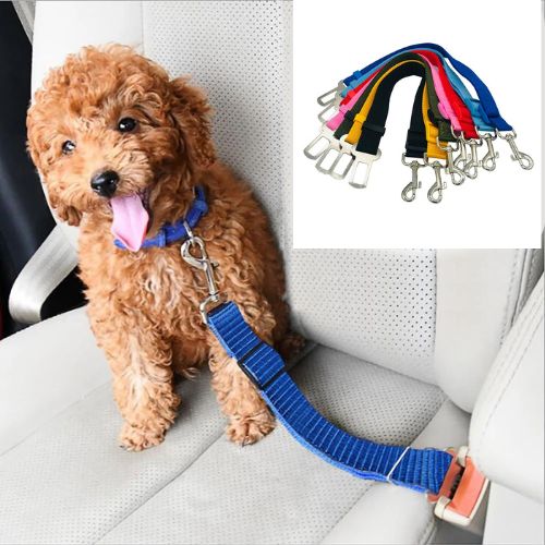 Ceinture de sécurité pour chien | BeltPet™ - MHM boutique