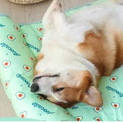 Chien tapis rafraichissant | Respirant