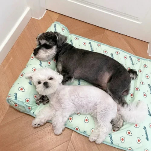 Chien tapis rafraichissant | Respirant