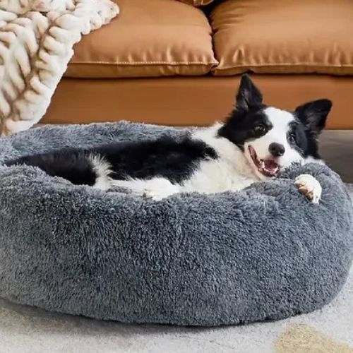 coussin-chien-adorable