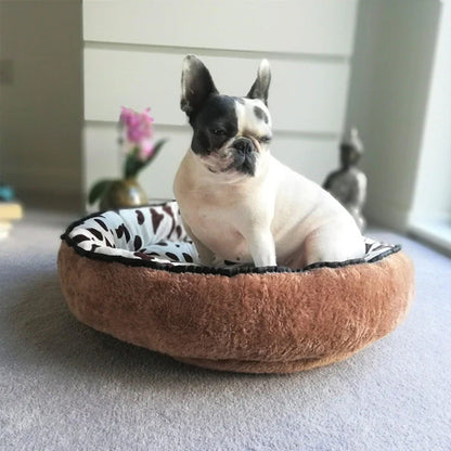 coussin-chien-douceur