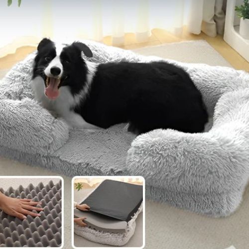 Canapé pour Chien | Zenidog™