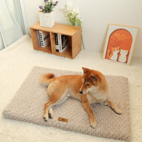 coussin-pour-chien-xxl-retirable