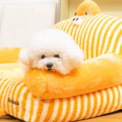 fauteuil-chien-douillet-confortable-orange