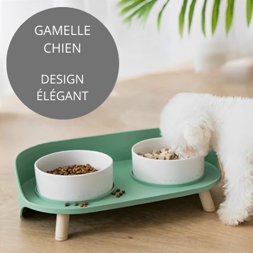 gamelle-chien-elegant