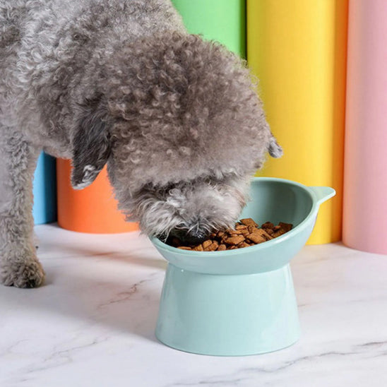 Gamelle Chien Surélevée | Easy Bowl™