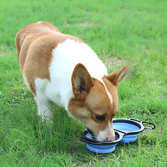 gamelle-pliable-pour-chien-efficace