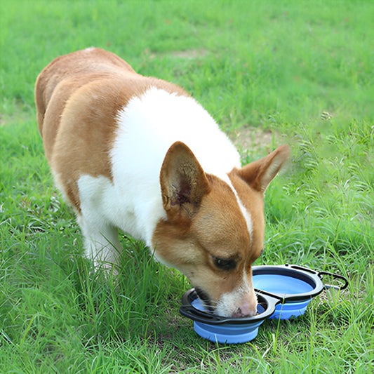 gamelle-pliable-pour-chien-efficace