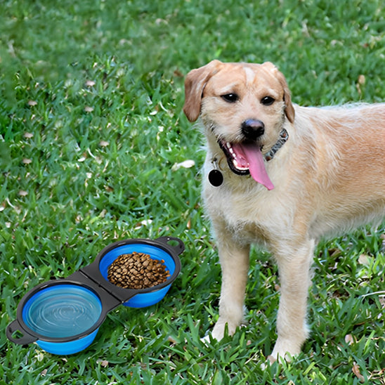 gamelle-pliable-pour-chien-fonctionnelle