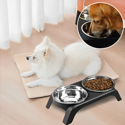 gamelle-pour-chien-innovante