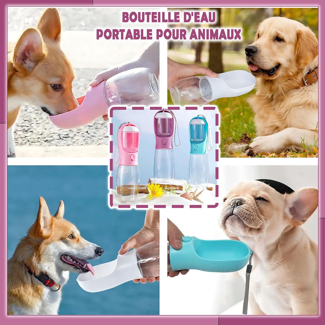 Gourde pour chien | Bottle&Bowl™ - MHM boutique