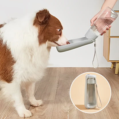 gourde-pour-chien-compacte