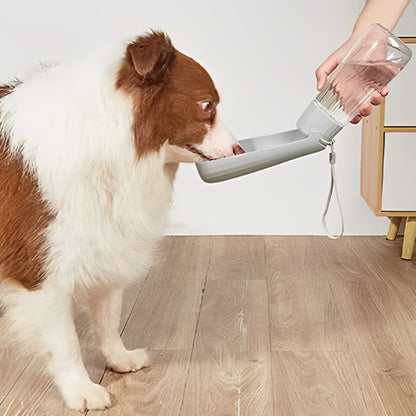 gourde-pour-chien-gris