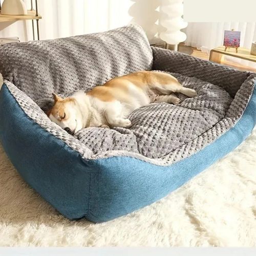 Design élégant du grand canapé pour chien Cozy-Protect