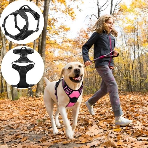 harnais-anti-traction-chien-noir-design