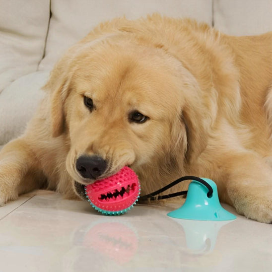 jouet-interactif-pour-chien-amusant